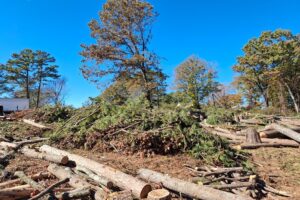 Sneillville, Georgia — Land Work On Going