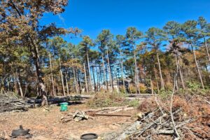 Sneillville, Georgia — Land Work On Going